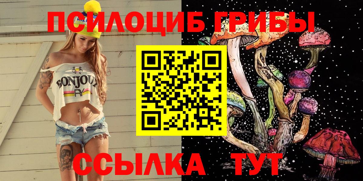 Галлюциногенные грибы Psilocybine cubensis Ярославль