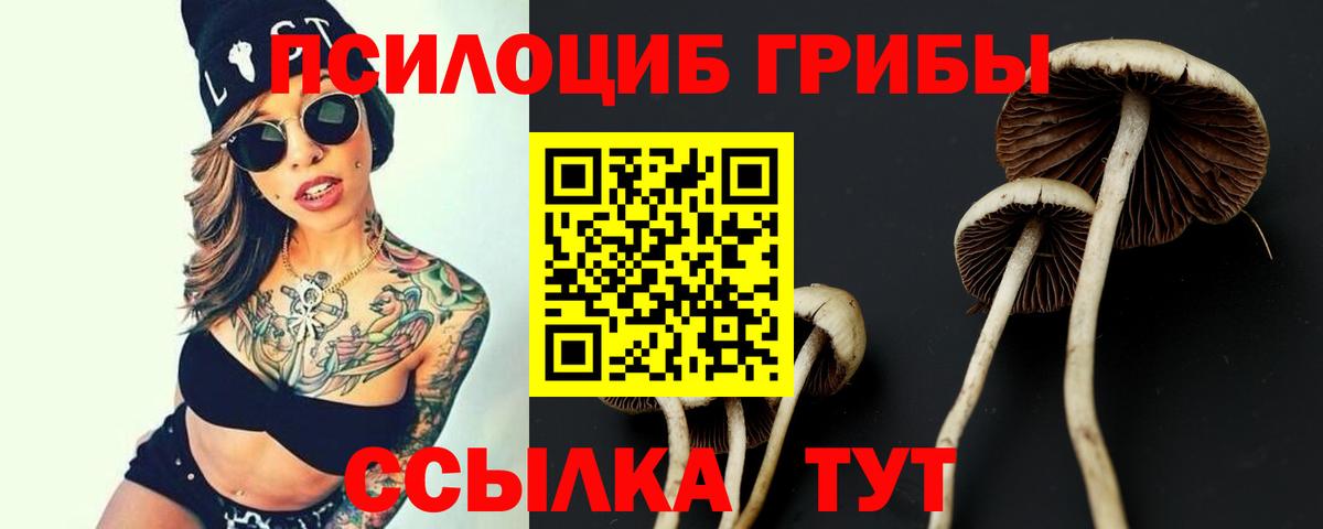 Ярославль  Галлюциногенные грибы мицелий  Вход с VPN 